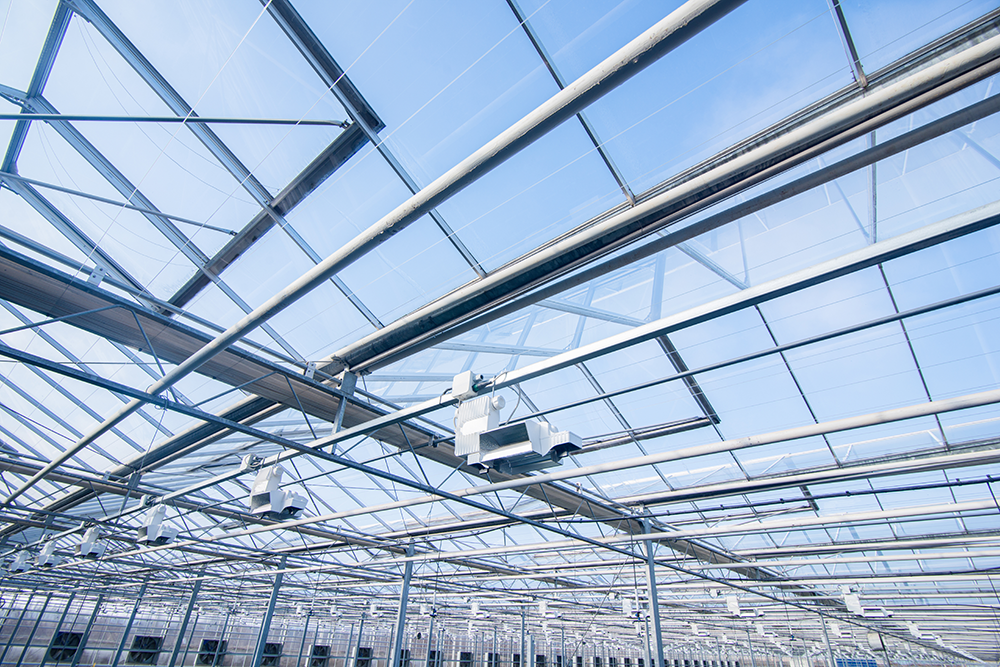 Greenhouse lighting system and which green lightings fit your needs